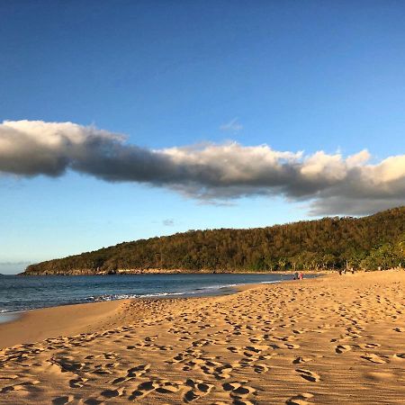 Le Surf Lodge, Chambre Avec Vue Mer Dans Un Ecrin De Verdure Deshaies Ngoại thất bức ảnh