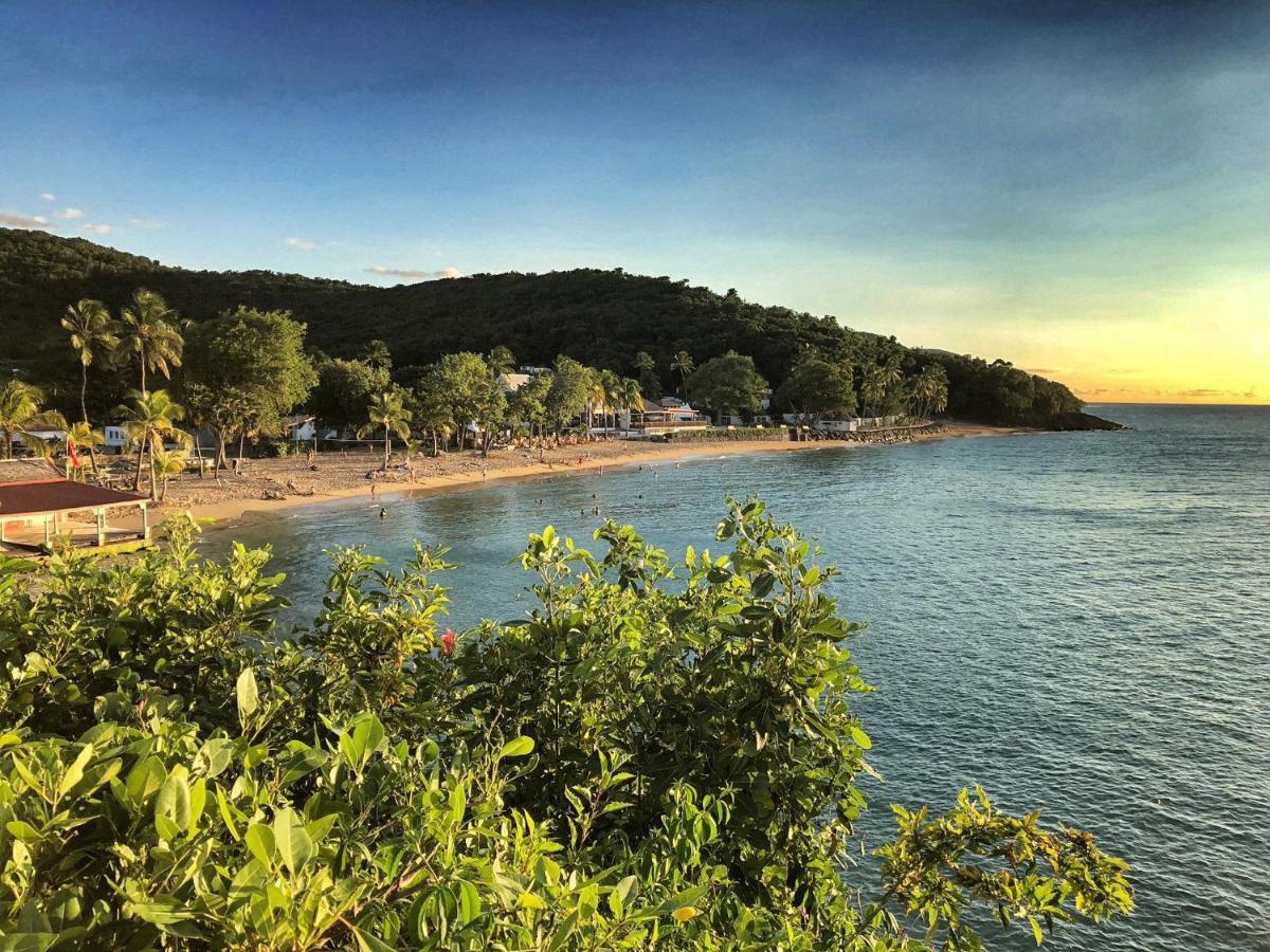 Le Surf Lodge, Chambre Avec Vue Mer Dans Un Ecrin De Verdure Deshaies Ngoại thất bức ảnh