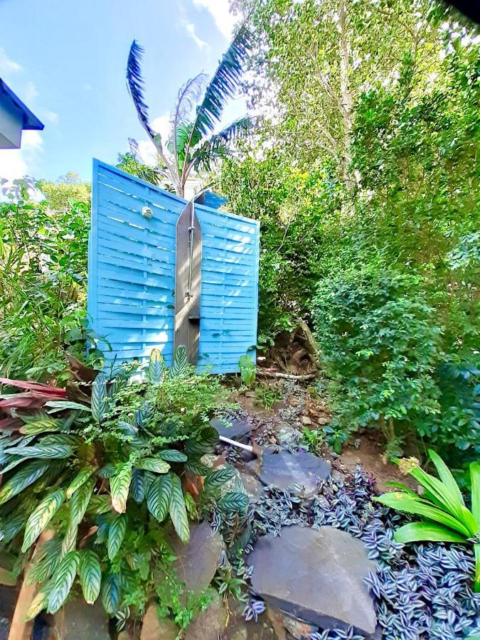 Le Surf Lodge, Chambre Avec Vue Mer Dans Un Ecrin De Verdure Deshaies Ngoại thất bức ảnh